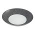 Raw Coupe Plate 29cm pack of 12
