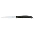 Victorinox Paring/Utility Knife With Straight Edge Blade